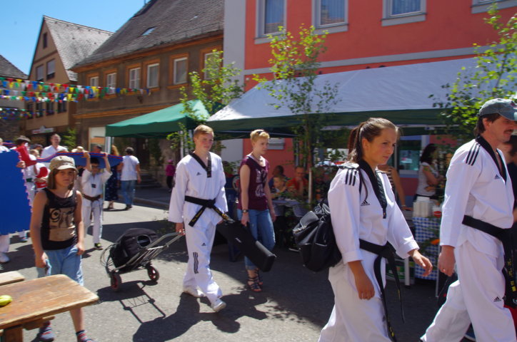 altstadtfest_2015-06-jpg