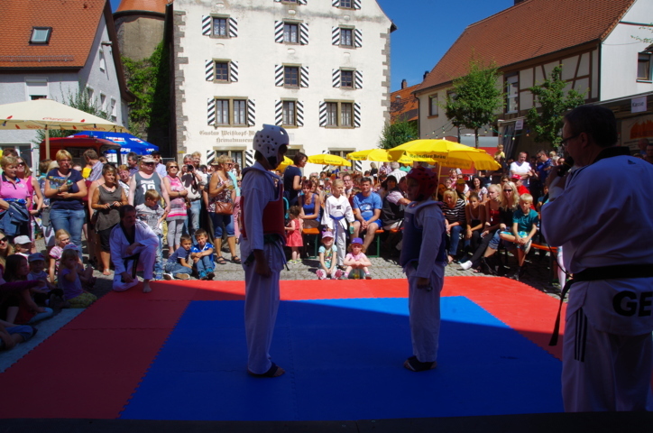 altstadtfest_2015-48-jpg