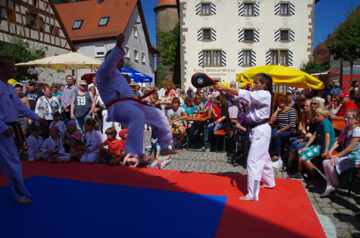 altstadtfest_2015-68-jpg