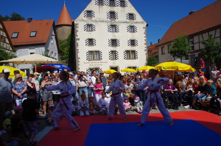 altstadtfest_2015-69-jpg